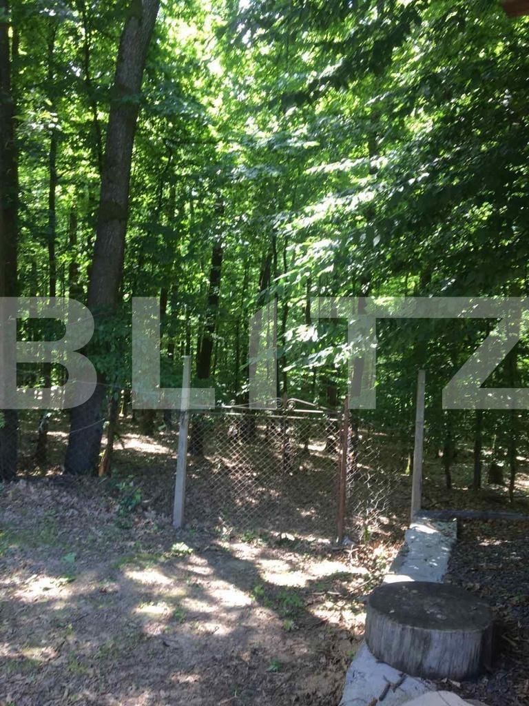 Teren de vânzare Exterior Est - 132100TV | BLITZ Satu Mare | Poza2