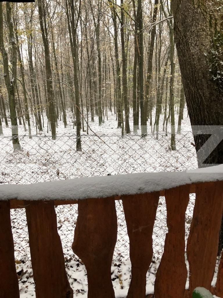 Teren de vânzare Exterior Est - 132100TV | BLITZ Satu Mare | Poza4