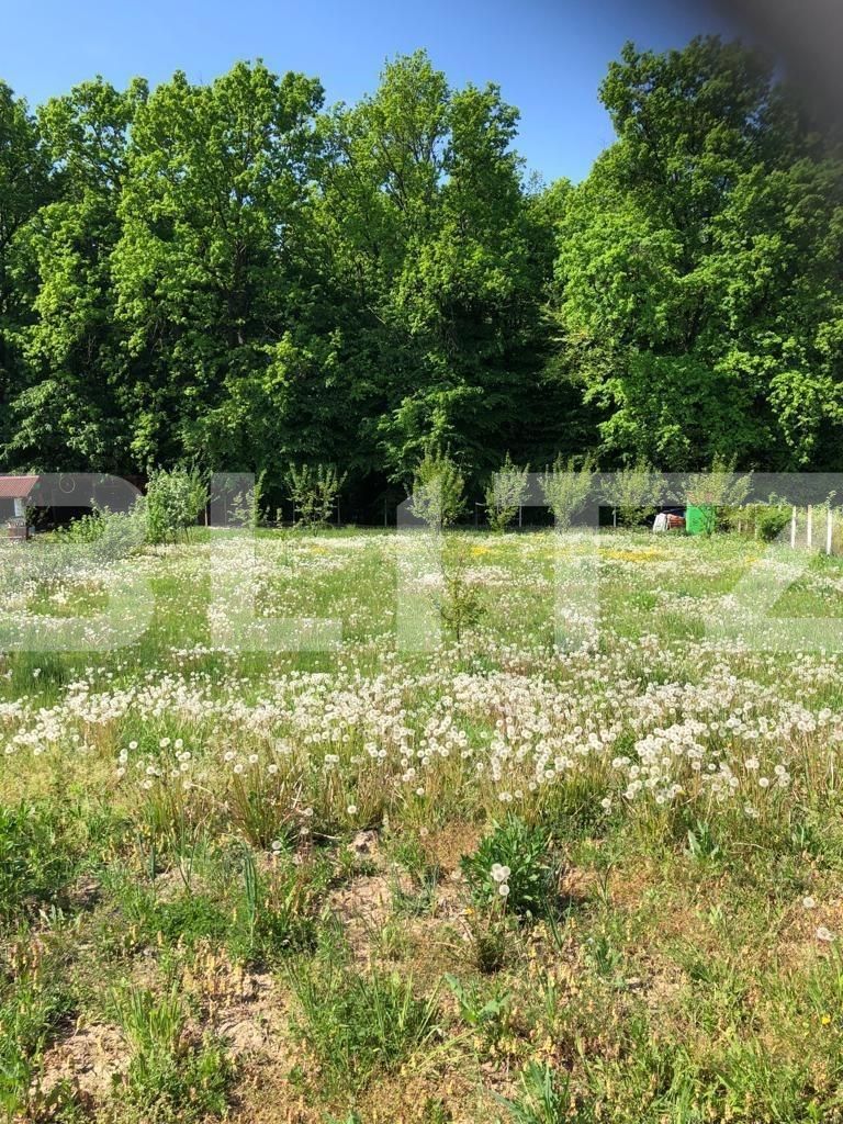 Teren de vânzare Exterior Est - 132100TV | BLITZ Satu Mare | Poza5