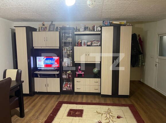 Casa de vânzare 7 camere Exterior Nord - 132274CV | BLITZ Satu Mare | Poza6