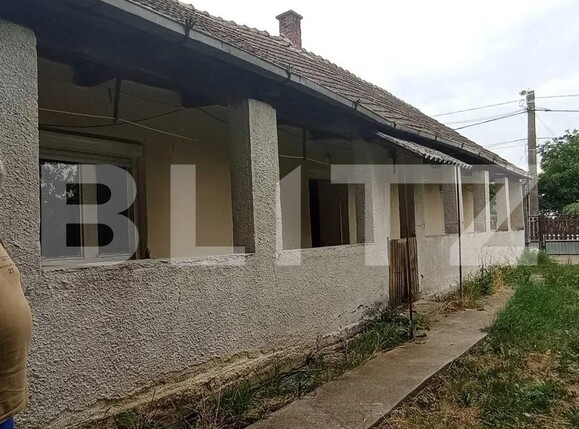 Casa de vânzare 3 camere Exterior Sud - 132792CV | BLITZ Satu Mare | Poza4