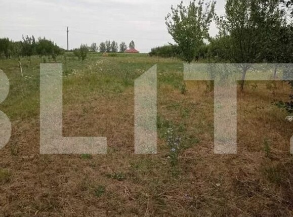 Casa de vânzare 3 camere Exterior Sud - 132792CV | BLITZ Satu Mare | Poza5