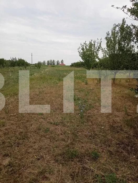 Casa de vânzare 3 camere Exterior Sud - 132792CV | BLITZ Satu Mare | Poza5