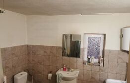 Casa de vanzare, 214 mp, Terebesti