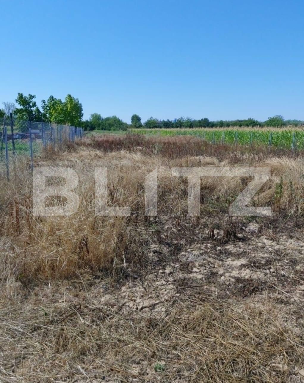 Teren de vânzare Exterior Nord - 134078TV | BLITZ Satu Mare | Poza2