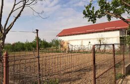 Casa la rosu 205mp + teren 1500 mp in Satmarel