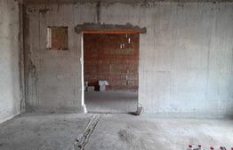 Casa la rosu 205mp + teren 1500 mp in Satmarel