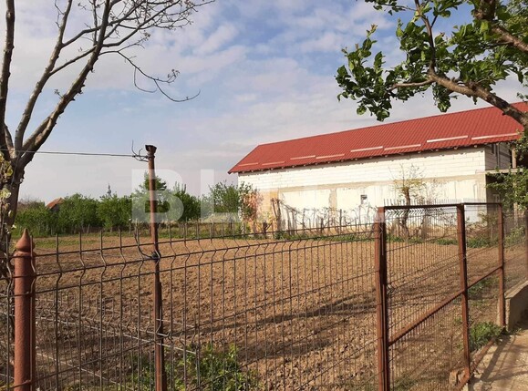 Casa de vânzare 4 camere Exterior Sud - 134205CV | BLITZ Satu Mare | Poza10