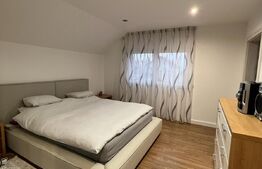 Casa moderna cu garaj si anexa (garsoniera), Str. Caprioarei 