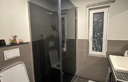 Casa moderna cu garaj si anexa (garsoniera), Str. Caprioarei 