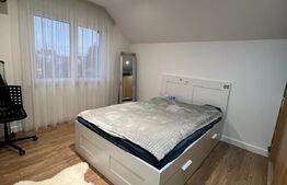 Casa moderna cu garaj si anexa (garsoniera), Str. Caprioarei 