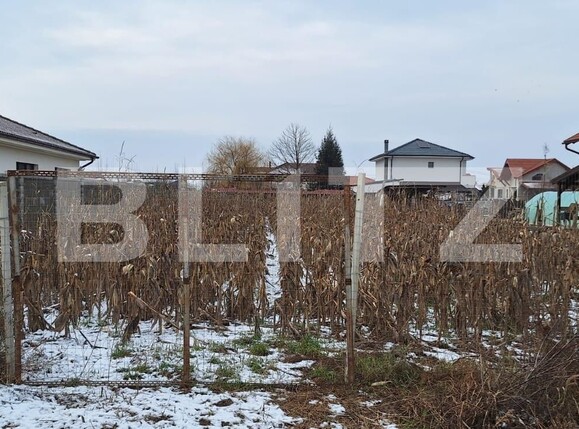 Teren de vânzare Exterior Nord - 134387TV | BLITZ Satu Mare | Poza2