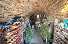  Casa cu 4 camere,170 mp utili + 730 mp teren, zona B-dul Unirii 