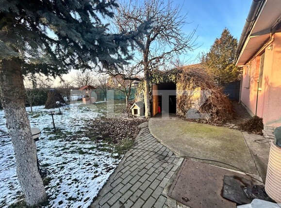 Casa de vânzare 4 camere Semicentral - 134684CV | BLITZ Satu Mare | Poza16