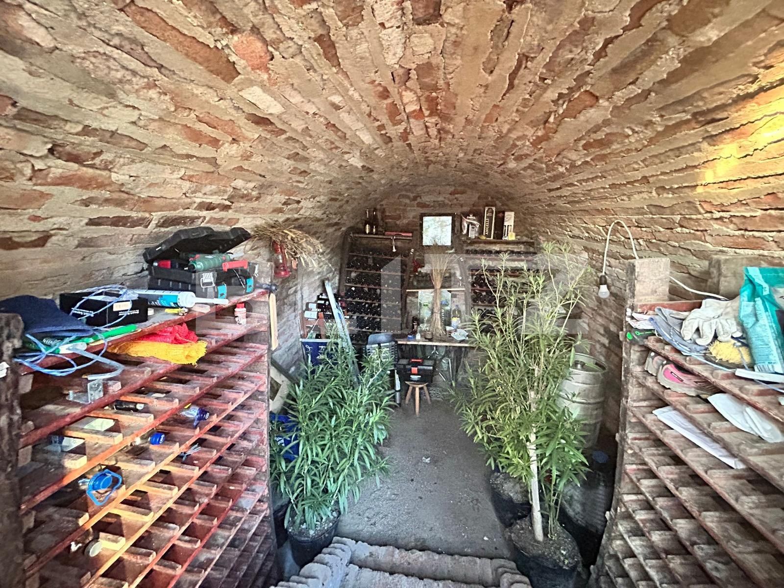 Casa de vânzare 4 camere Semicentral - 134684CV | BLITZ Satu Mare | Poza17