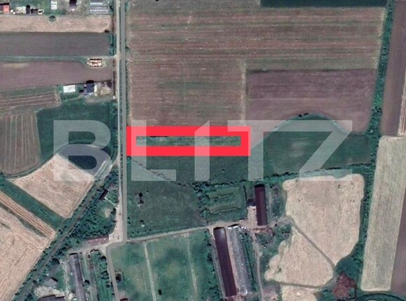 Teren de vânzare Vest - 134743TV | BLITZ Satu Mare | Poza1