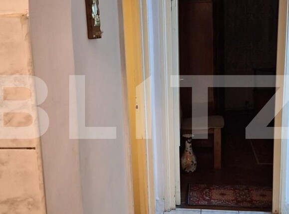 Apartament de vânzare 2 camere 14 Mai - 134776AV | BLITZ Satu Mare | Poza3