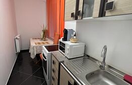 Apartament 2 camere ,50 mp utili, Strada Lunca Sighet
