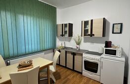Garsoniera 40 mp utili,Strada Lunca Sighet
