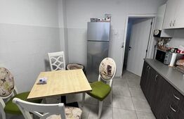 Casa 3 camere ,120 mp utili +11000 mp teren,în Zona Titulescu