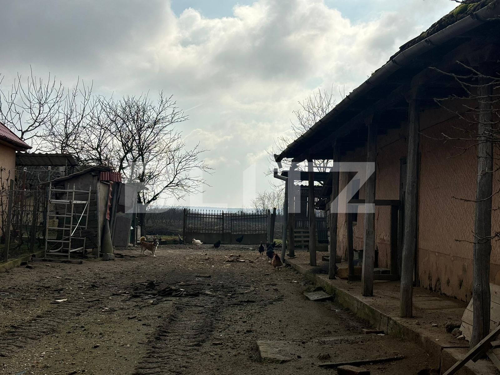 Casa de vânzare 3 camere Sud - 136152CV | BLITZ Satu Mare | Poza2