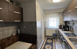 Apartament 2 camere,53 mp utili ,Strada Ganea,cartier Carpati 2