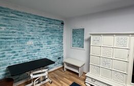  Apartament la curte în Centrul Orașului