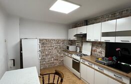  Apartament la curte în Centrul Orașului