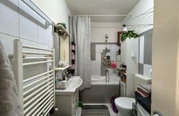 Apartament cu două dormitoare și mansardă