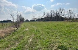 Doua parcele de vanzare | 900mp | Floare de colt