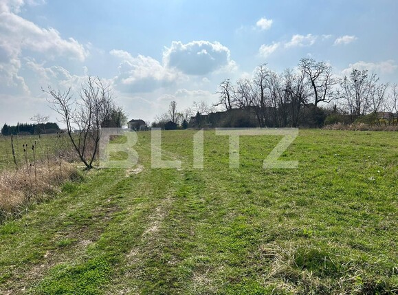 Teren de vânzare Lucian Blaga - 137241TV | BLITZ Satu Mare | Poza3