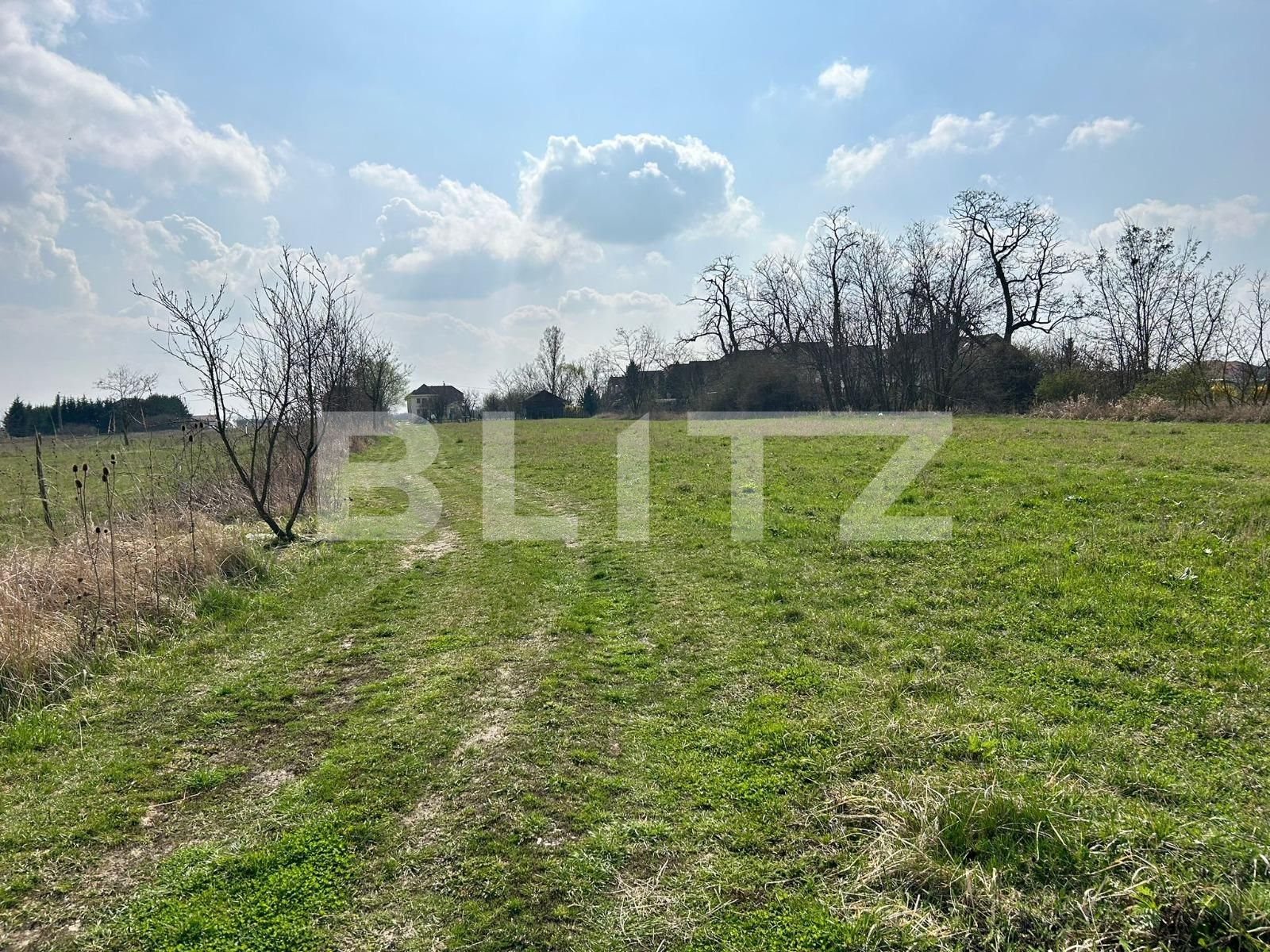 Teren de vânzare Lucian Blaga - 137241TV | BLITZ Satu Mare | Poza3