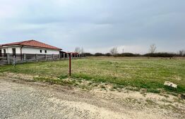 Teren intravilan | 700mp | Odoreu