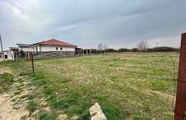 Teren intravilan | 700mp | Odoreu