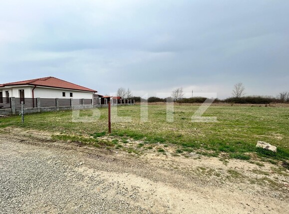 Teren de vânzare Exterior Est - 137244TV | BLITZ Satu Mare | Poza2