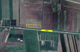 Teren extravilan | 11300mp | Doba 