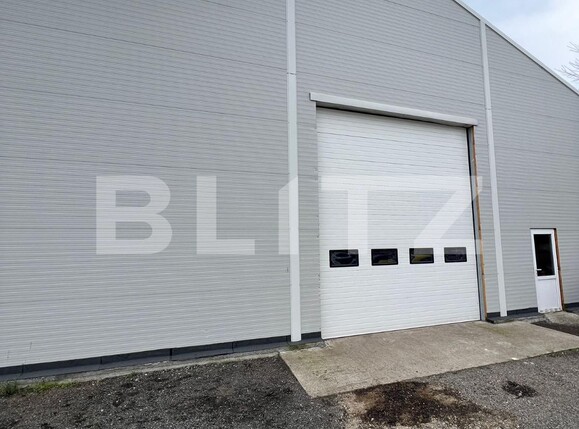 Spațiu comercial de închiriat Micro 17 - 137540SIC | BLITZ Satu Mare | Poza3