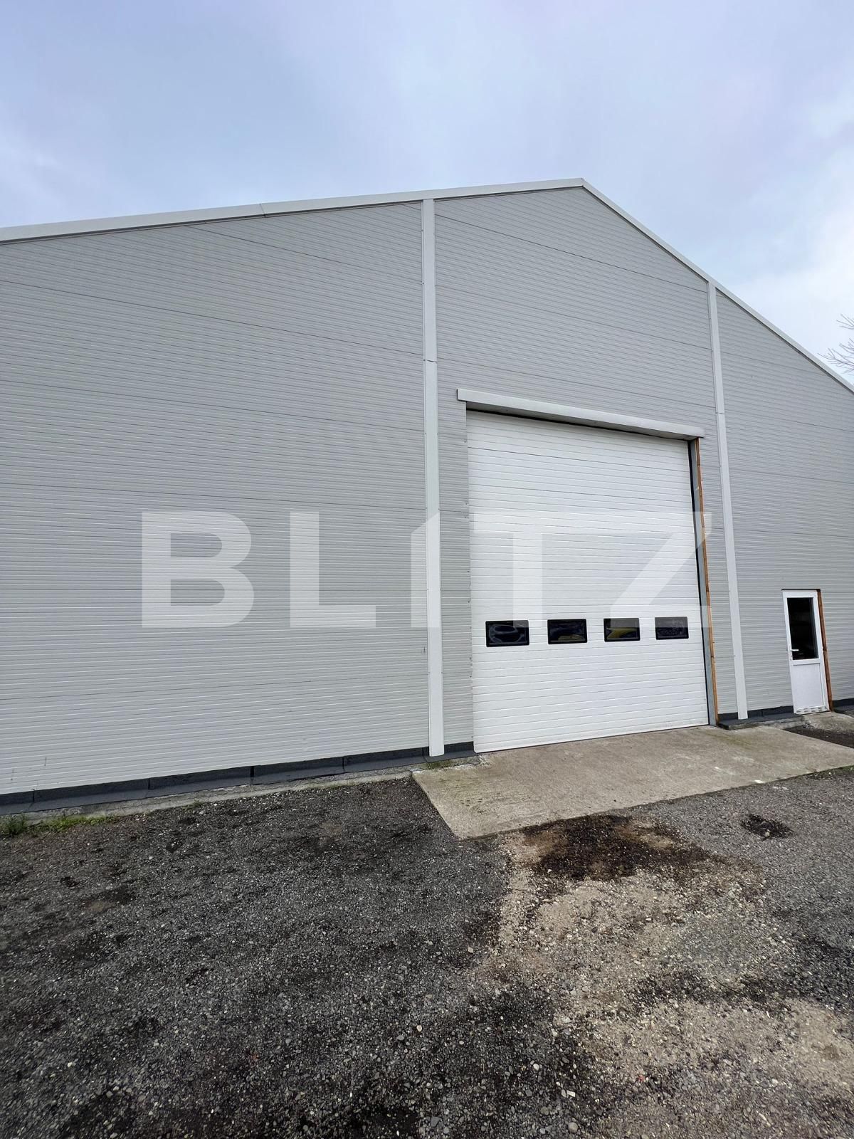 Spațiu comercial de închiriat Micro 17 - 137540SIC | BLITZ Satu Mare | Poza3