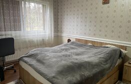 Casa de vanzare, 4 camere, 126mp suprafata la sol, Zona Padurea Noroieni