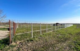 Teren cu Potențial și Facilități , 1000.00 mp în Cionchesti