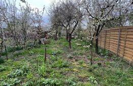 Casă Spațioasă, zona Cartierul Titulescu, 9 ari teren