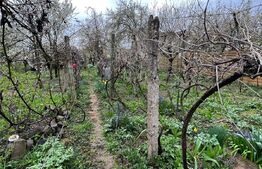 Casă Spațioasă, zona Cartierul Titulescu, 9 ari teren