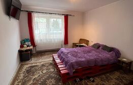 Casă Spațioasă, zona Cartierul Titulescu, 9 ari teren