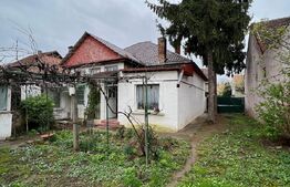 Casă Spațioasă, zona Cartierul Titulescu, 9 ari teren