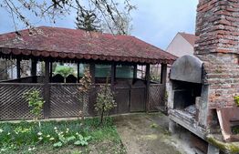 Casă Spațioasă, zona Cartierul Titulescu, 9 ari teren