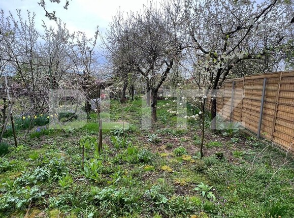 Casa de vânzare 5 camere Titulescu - 138118CV | BLITZ Satu Mare | Poza11