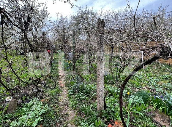 Casa de vânzare 5 camere Titulescu - 138118CV | BLITZ Satu Mare | Poza9