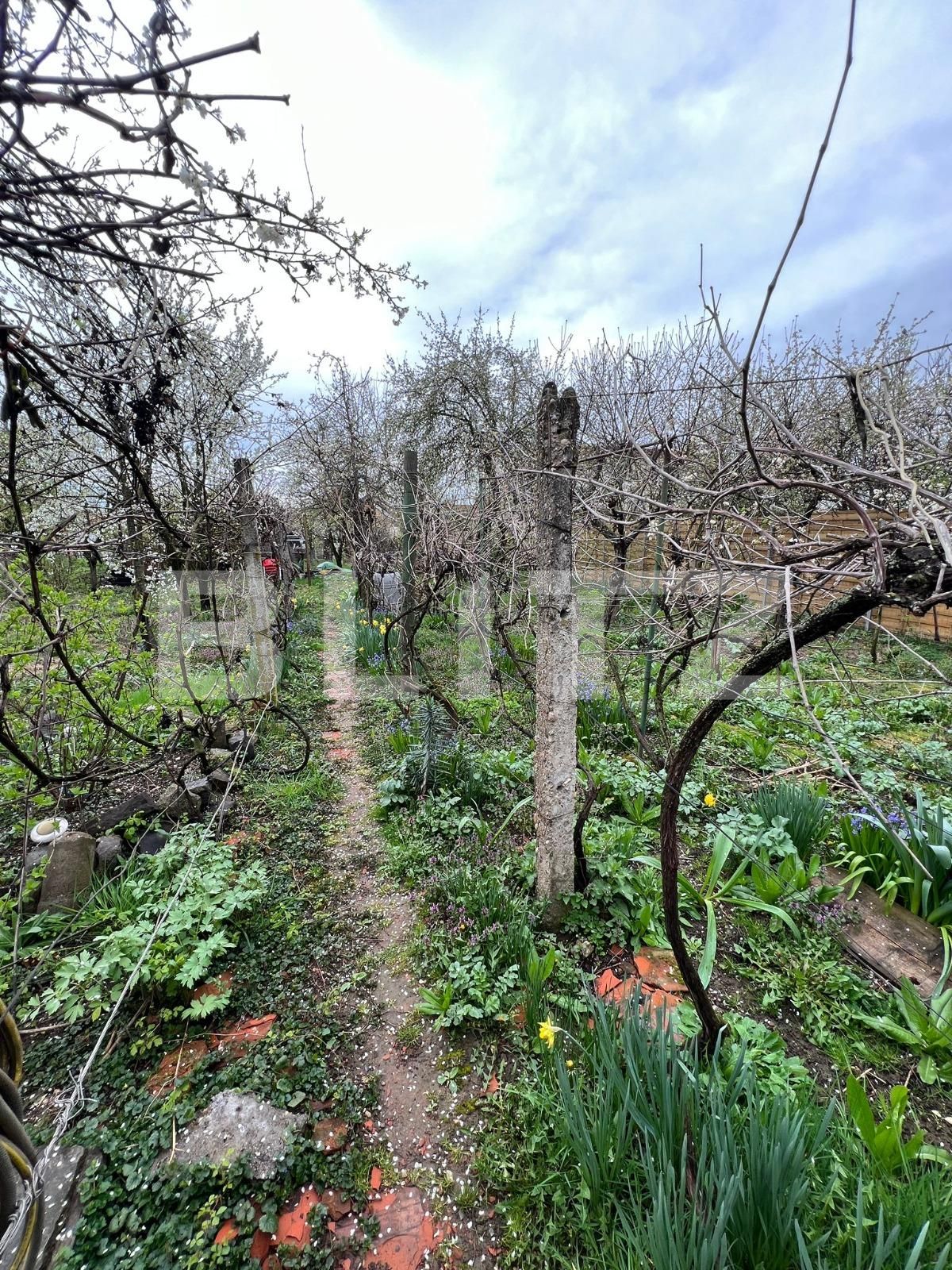 Casa de vânzare 5 camere Titulescu - 138118CV | BLITZ Satu Mare | Poza9