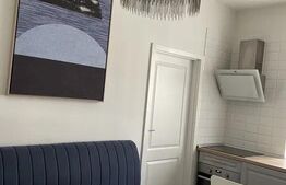 Ofer spre inchiriere, apartament 2 camere, zona ultracentrala