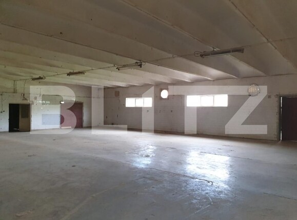 Spațiu industrial de închiriat Exterior Vest - 138763SII | BLITZ Satu Mare | Poza1